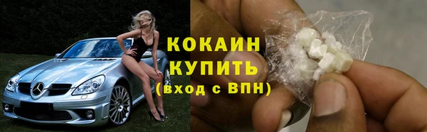 соль ск Пестово