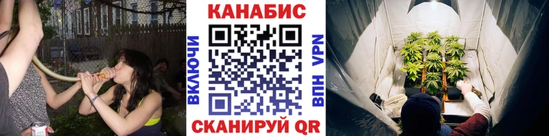Бошки марихуана OG Kush блэк спрут ссылки Гаврилов Посад купить закладку